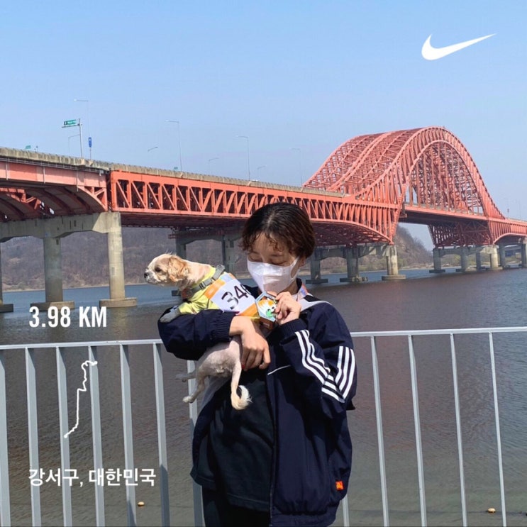  언택트 마라톤 후기 애니멀런 호랑이런