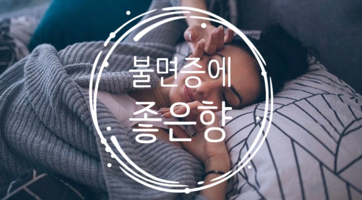  불면증 극복하기