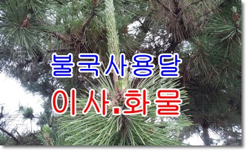 불국사용달 진현동 시래동. 불국사용달 진현동 시래동.