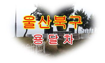 울산북구용달 호계 모화 운송.