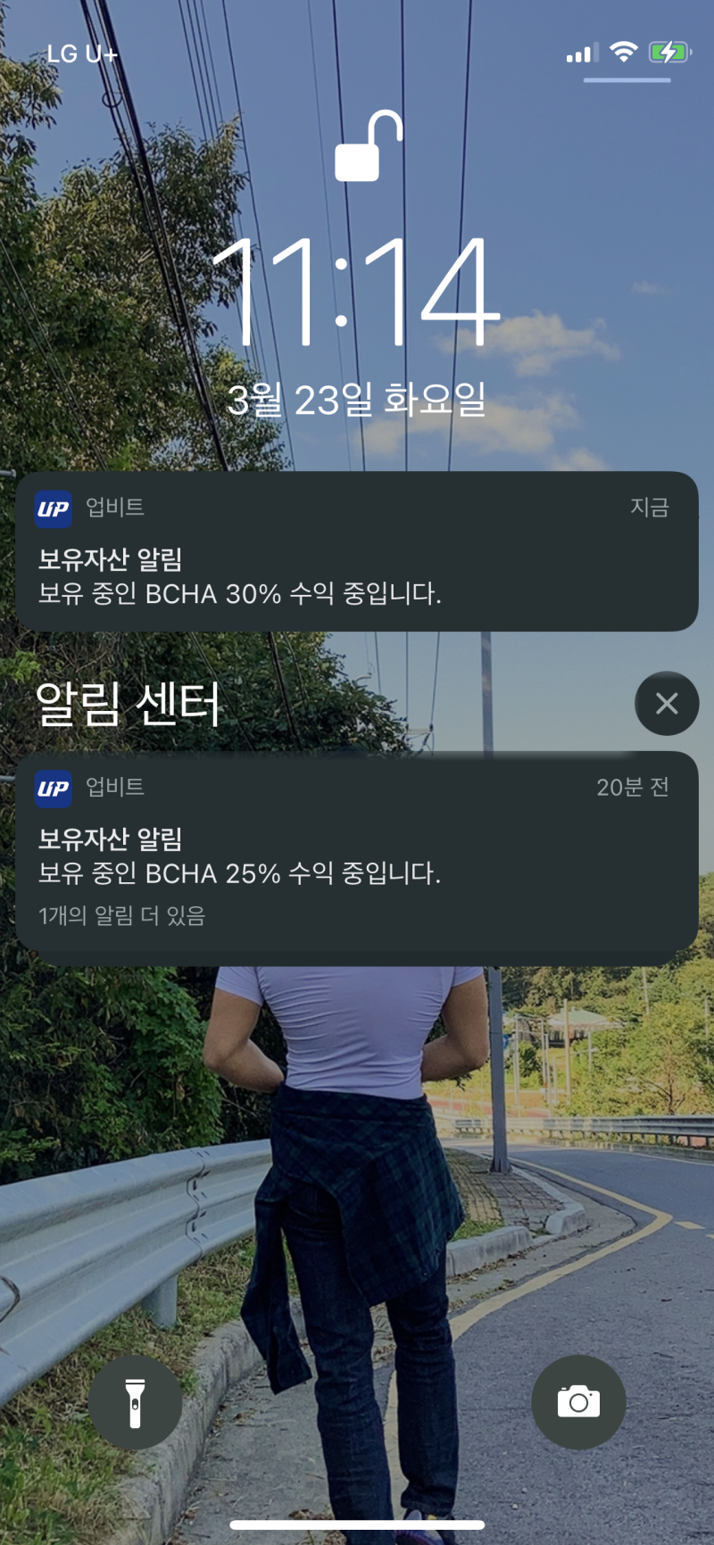 업비트 - 비트코인캐시에이비씨(BCHA) 60% 터치 : 네이버 블로그