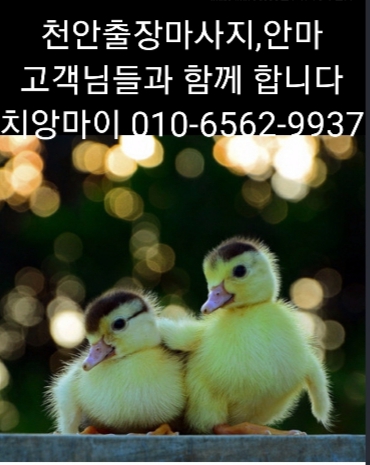  천안출장마사지(신뢰) 천안출장안마(사랑) 천안출장타이마사지(믿음) 치앙마이(최선)가 고객님들의 피로를 해소 해드립니다️️