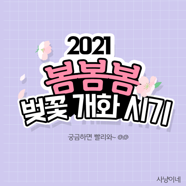 2021년 벚꽃 개화 시기