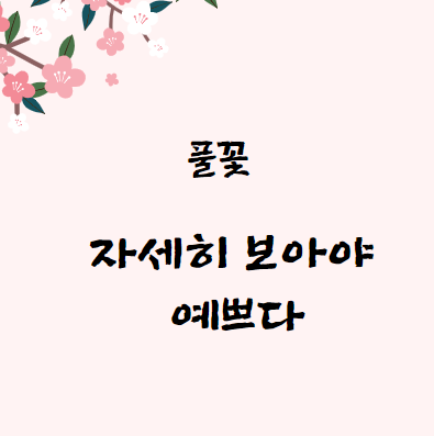 자세히 보아야 예쁘다, 나태주 시인의 시, 풀꽃의 계절
