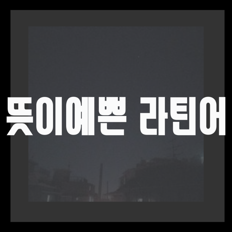 라틴어예쁜단어 열개모음 : 네이버 블로그 라틴어예쁜단어 열개모음 : 네이버 블로그