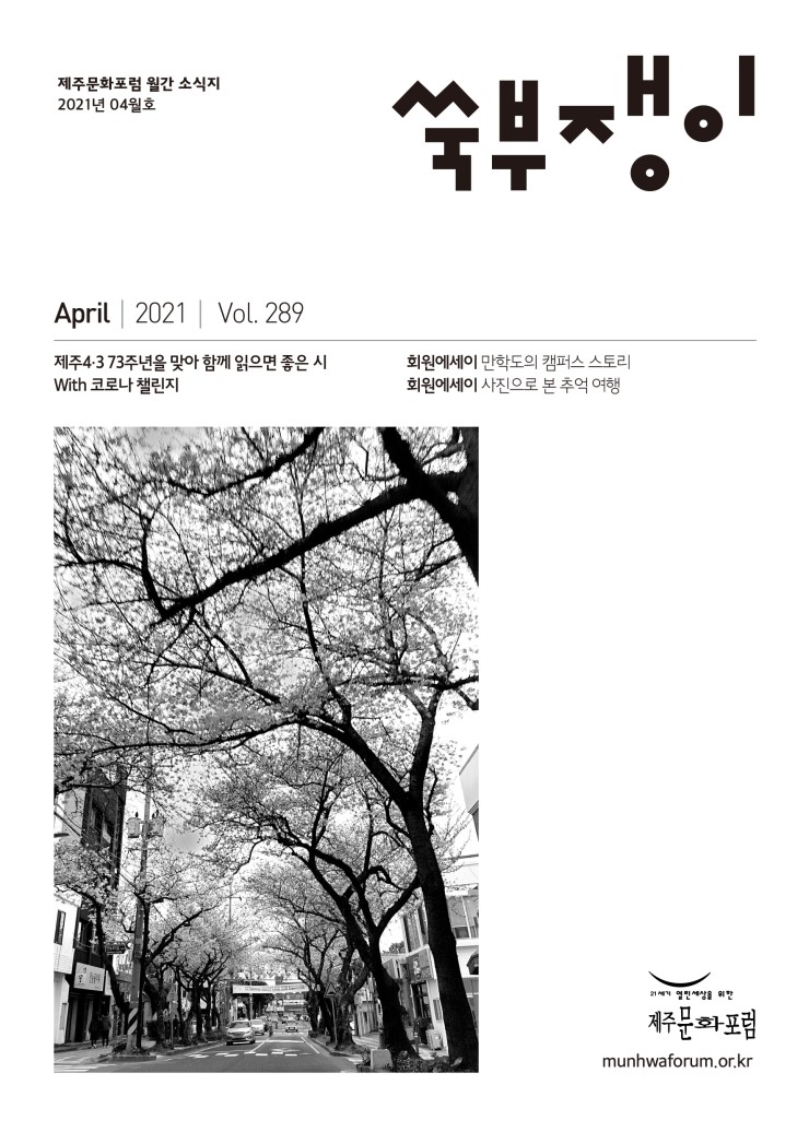  쑥부쟁이289 #제주문화포럼 #한그루