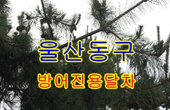 울산동구용달 방어진 정자. 울산동구용달 방어진 정자.