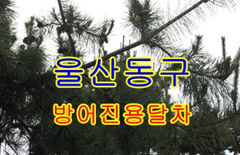 울산동구용달 방어진 정자.