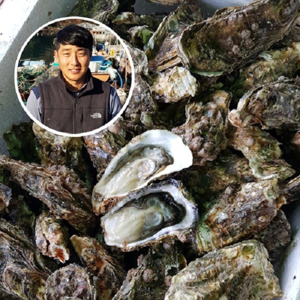선호도 높은 통영하고잽이굴이야기 브러시세척 깔끔한 통영 석화 굴5k, 1, 석화5kg 좋아요 선호도 높은 통영하고잽이굴이야기 브러시세척 깔끔한 통영 석화 굴5k, 1, 석화5kg 좋아요