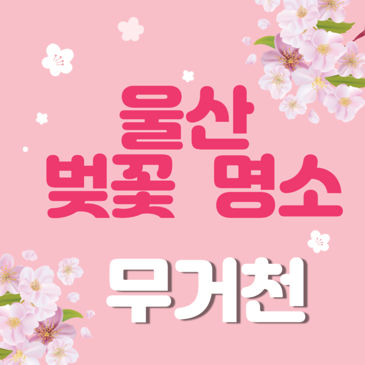 울산 벚꽃 명소 무거천(궁거랑) 봄마중이