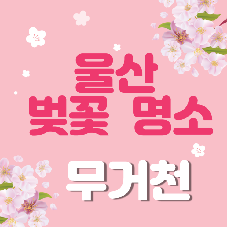  울산 벚꽃 명소 무거천(궁거랑) 봄마중이