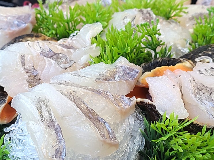  [대전 중리동 맛집] 대전에서 쫄깃쫄깃한 우럭회 추천 '싱싱회포차' 법동 맛집