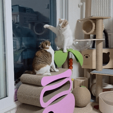  [나쁜남자] 둥이를 고발합니다!!!