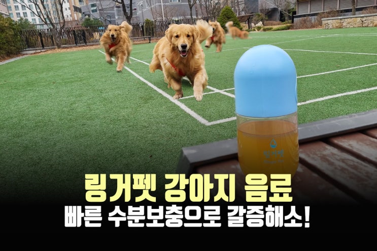  강아지음료 링거펫, 빠른 수분보충엔 이게 최고!