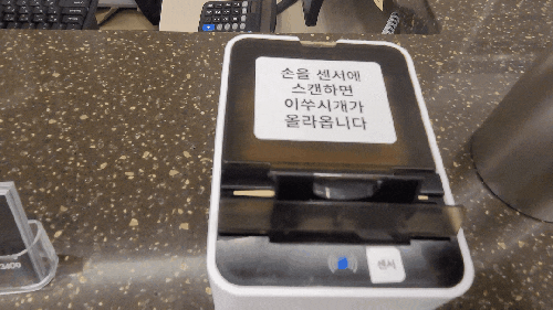  폰사진 대방출