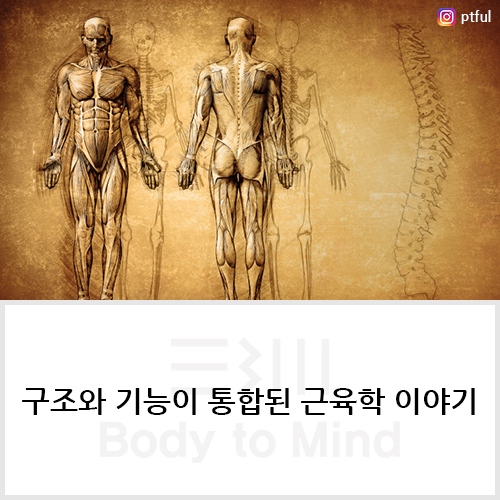  구조와 기능이 통합된 근육학 이야기