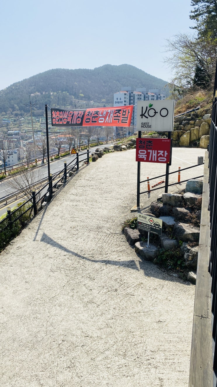 청춘인생 육계장