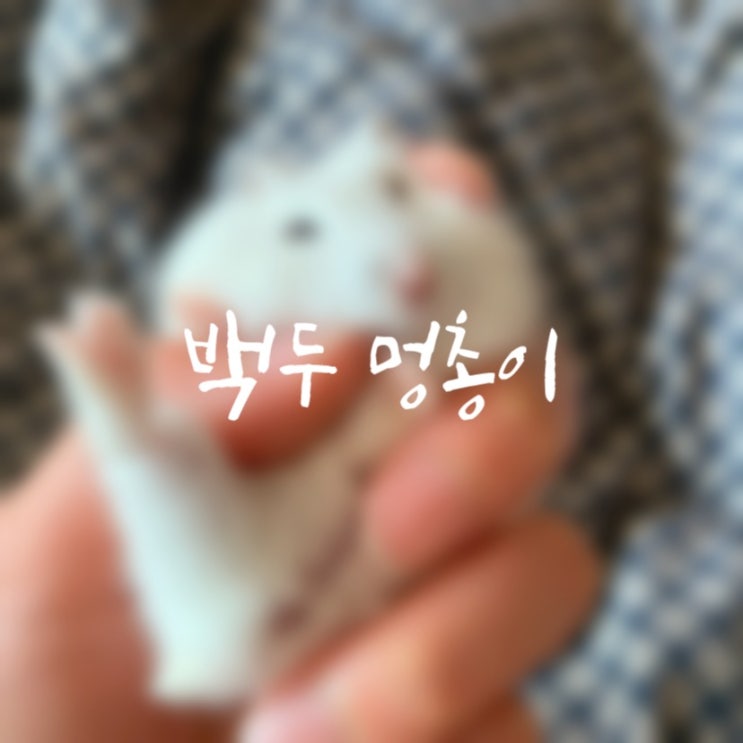  2021.03.23 백두 멍총이