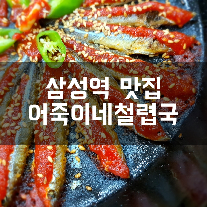  [삼성역 맛집] 뜨끈한 어죽 한그릇 생각날때 어죽이네철렵국