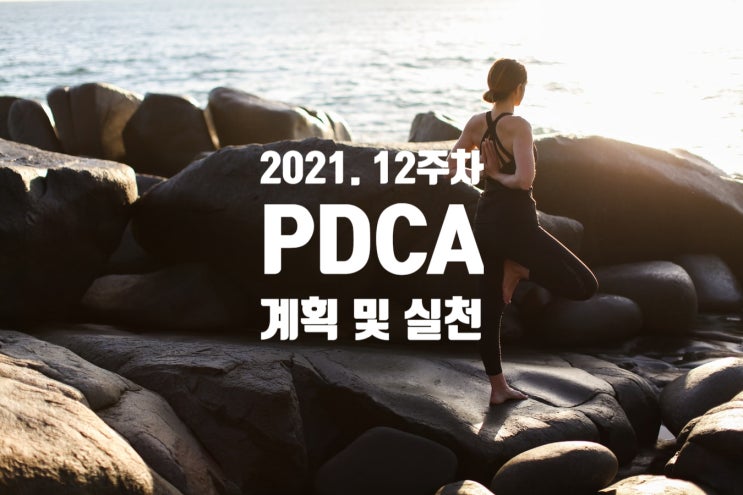  2021년 계획과 실천 12주차 점검 [근성이 필요할때]
