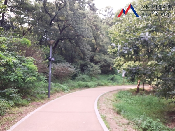  통정매매 일반