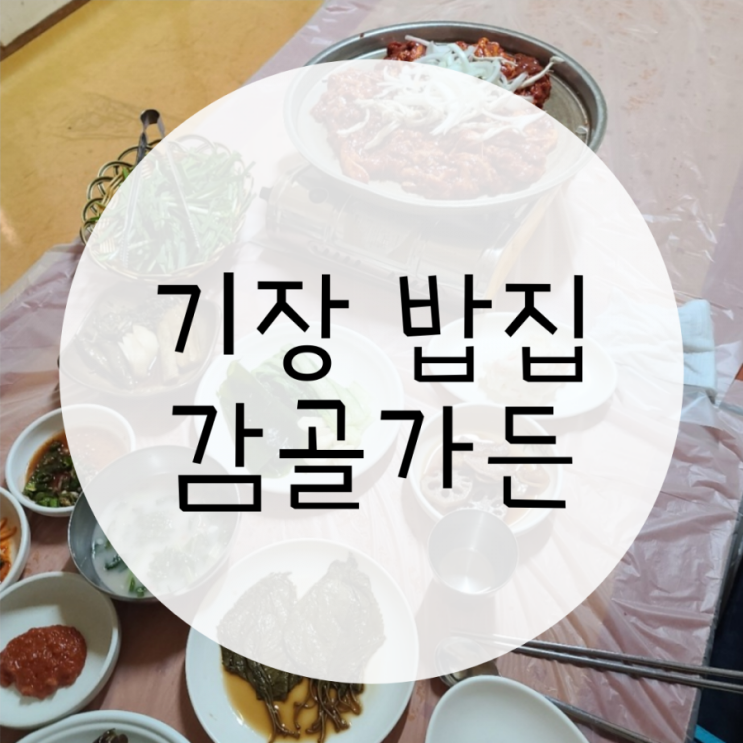 기장맛집 감골가든 오리불고기가 맛있는 장안사계곡 맛집