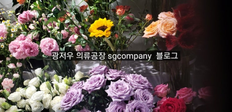  광저우 사입공부 중.