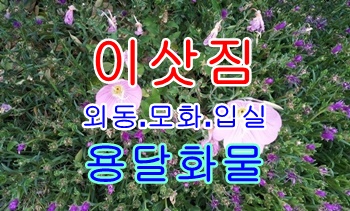 외동용달 모화 불국사 운송.