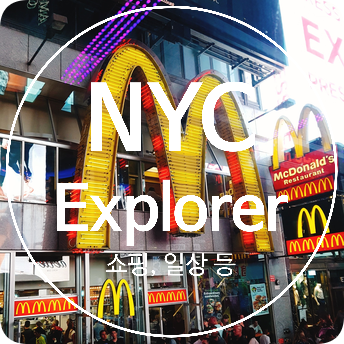 [뉴욕] 일상 -  나이키 쇼핑, NYC Explorer Pass 더 라이드
