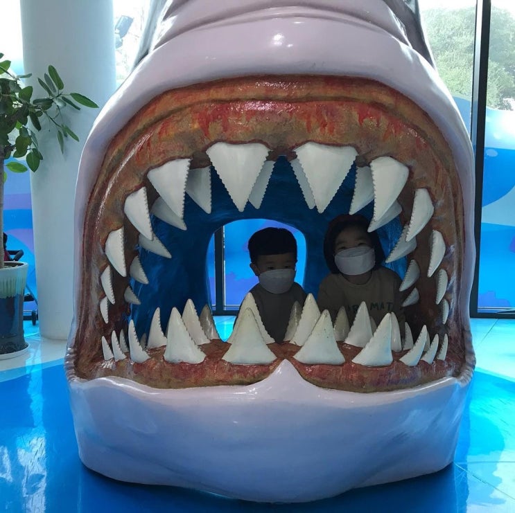  [제주동쪽여행] 아이와 함께 가면 좋을, 재밌는 곳 - 서귀포 성산 제주해양동물박물관