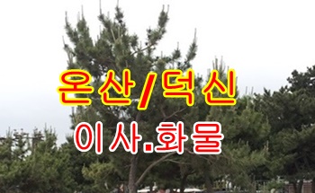 온산용달 당월 용연 장생포. 온산용달 당월 용연 장생포.