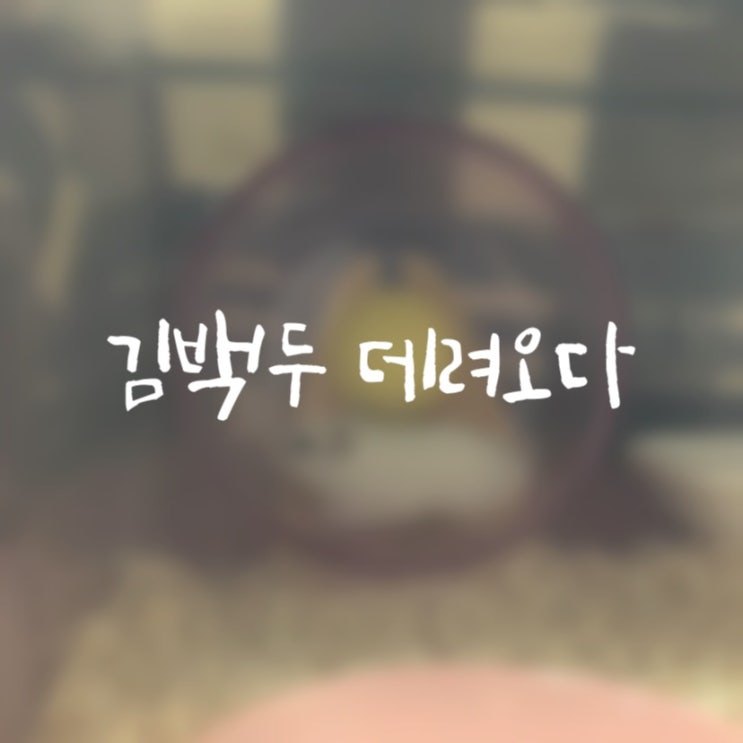  #이마트햄스터 #드워프햄스터 #펄햄스터 #김백두 : 입양 첫 날