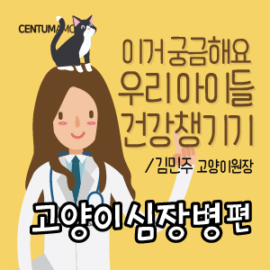  고양이 심장병 소개 편 (부산 심장진료 전문 동물병원 센텀동물메디컬센터 고양이원장 김민주)