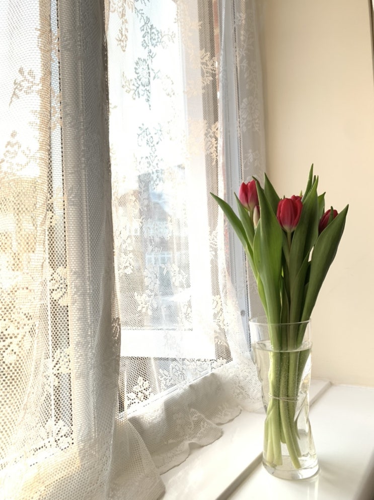  영국 워홀 집구하기, 뷰잉, 이사하기, 마트 장보기
