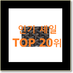  확인필수 고야드 탑20 순위 가성비 목록