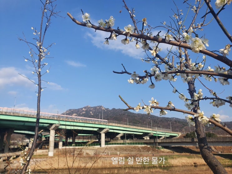  BDI척도 검사/아론 벡(Aaron T. Beck) 우울증 진단 척도검사