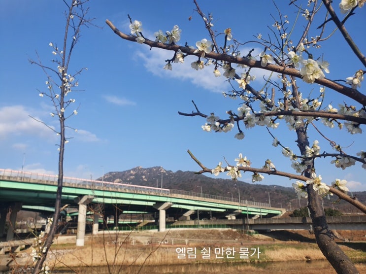 BDI척도 검사/아론 벡(Aaron T. Beck) 우울증 진단 척도검사