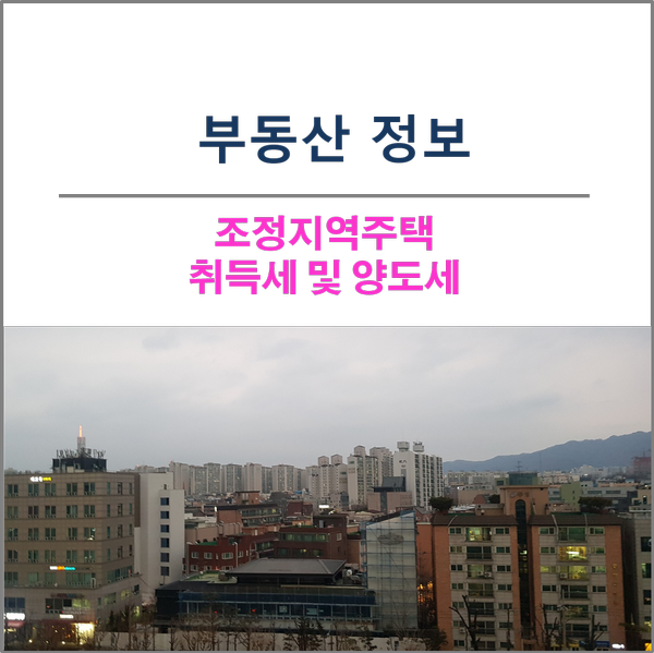  조정지역주택 취득세 및 양도세