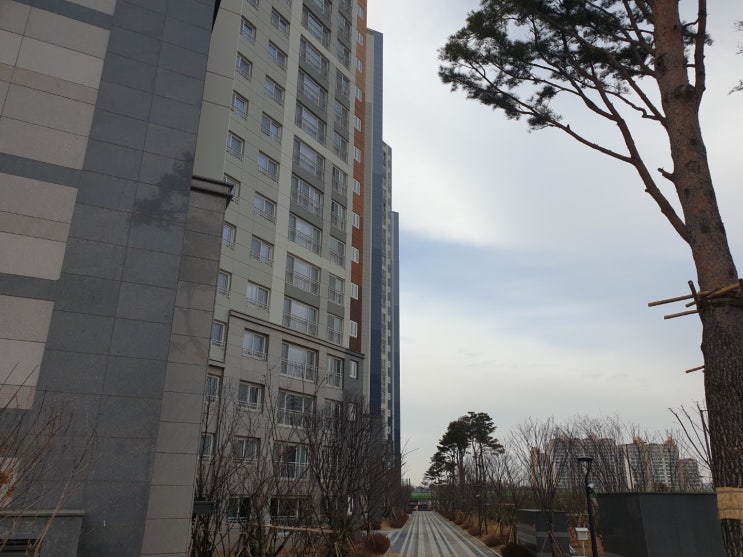  계약갱신청구권 첫 판결! 집주인, 세입자, 매수자 모두 보세요