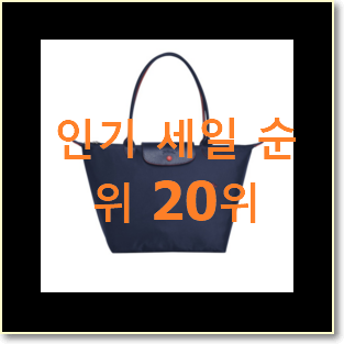  업계최고 롱샴 꿀템 갖고싶네요.