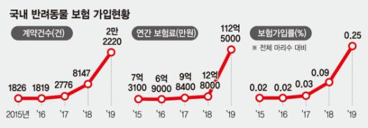 "댕냥아, 아프면 안 돼" 반려동물보험 가입 급증