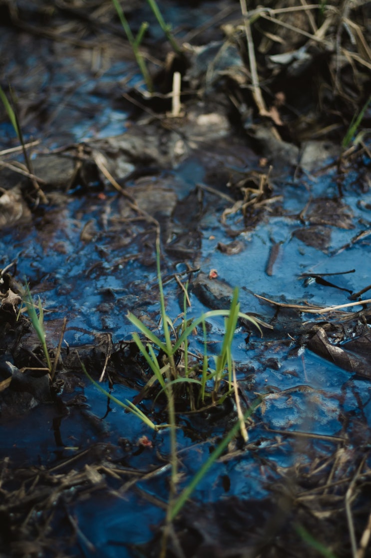 수질환경기사 Engineer Water Pollution Environmental