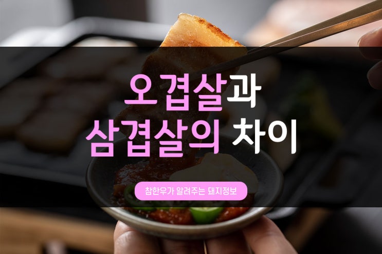  전통참한우가 알려주는 돼지정보_오겹살과 삼겹살의 차이