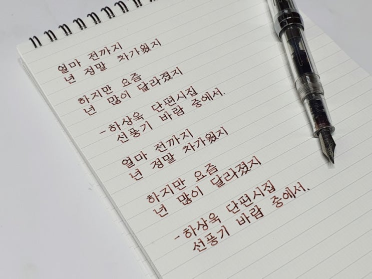  얼마 전까지 넌 정말 차가웠지 하지만...? 미꽃체 손글씨 캘리그라피