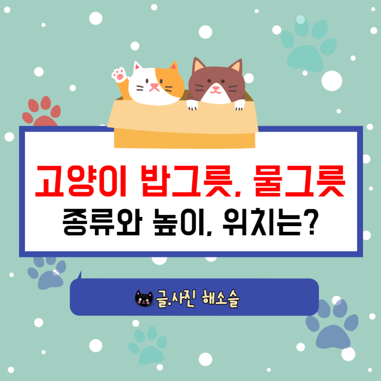  고양이 식기(밥그릇, 물그릇) 종류와 높이, 위치 알아보기