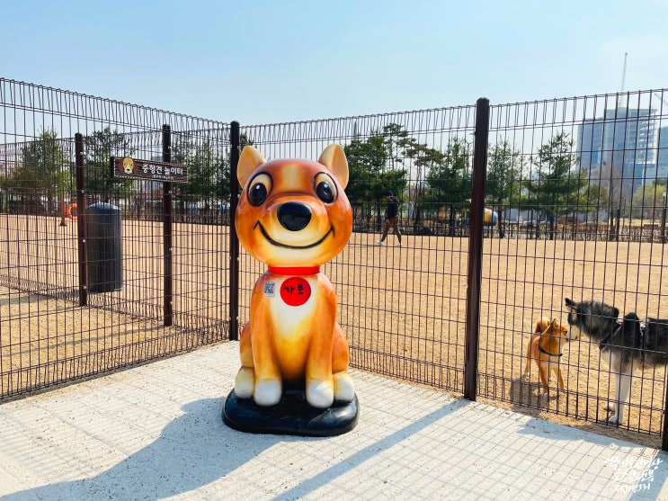  고양시 덕수근린공원에 새로 오픈한 반려견놀이터 후기