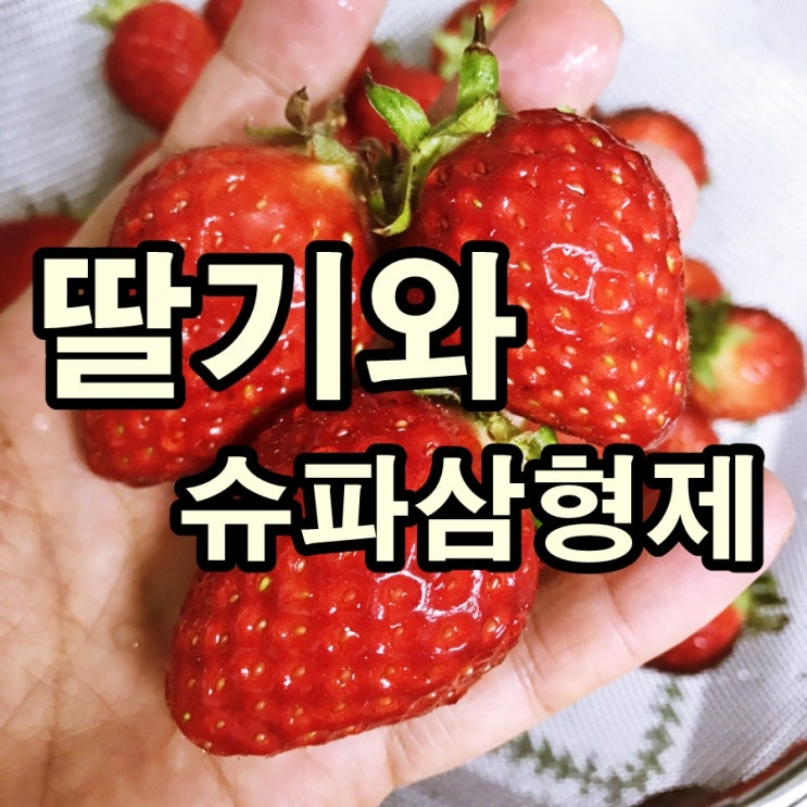  딸기와 슈파 삼형제