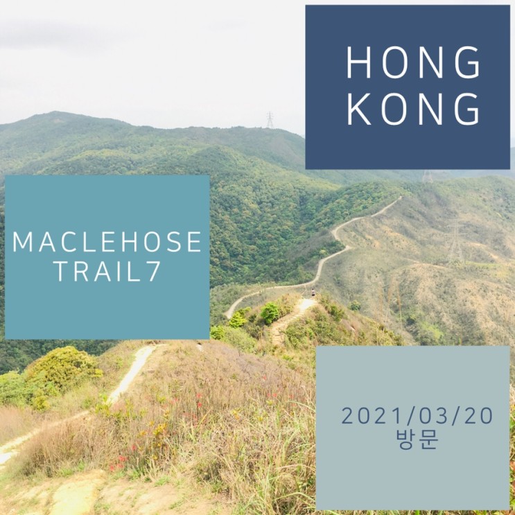 홍콩 하이킹 Maclehose trail 100km 완주 - section 7
