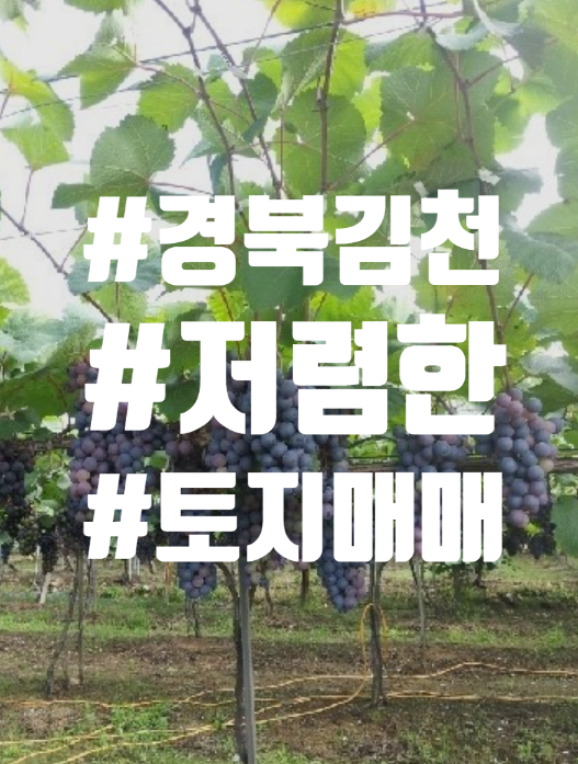  [계약완료 ] 경상북도 김천시 광천리  838평 매매