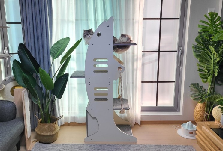 투명 아크릴 해먹이 있는 즐거운 놀이터 원목 캣타워에 고양이가 냥글냥글(ft. 고양이 캣타워 )